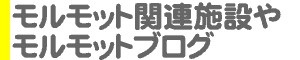 モルモット関連施設やブログ