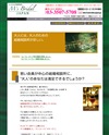 M’s ブライダルジャパンのサイトイメージ