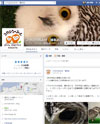 フクロウのみせ 博多店のサイトイメージ