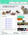 こるねのサイトイメージ