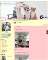 猫カフェ『猫まるカフェokinawa』スタッフブログのサイトイメージ