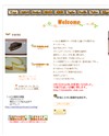 みらべるのサイトイメージ