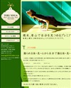 TERU YOGA [テルヨガ]のサイトイメージ