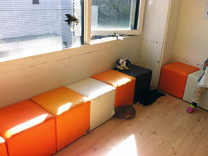 うさぎcafeおひさまのうさぎ：店内のようす（１）